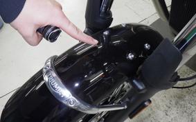 TRIUMPH BONNEVILLE T100 2025