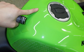 KAWASAKI NINJA ZX-6R A 2023 ZX636J