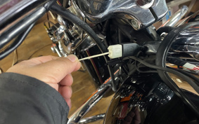 HARLEY HARLEY FLSTSI 2002 BYB