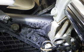 KAWASAKI BALIUS 250 Gen.2 1990 ZR250B