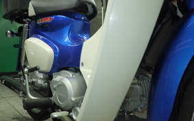 HONDA C110 SUPER CUB 2010 JA59