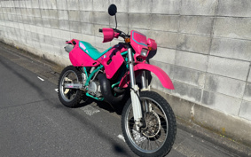 KAWASAKI KDX250SR DX250F