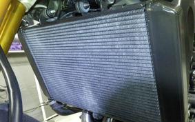 YAMAHA MT-09 2015 RN34J