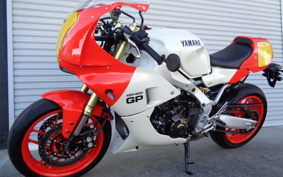 YAMAHA XSR900 GP 2024 RN96J