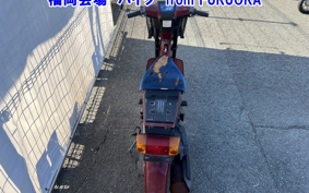SUZUKI MOLLET