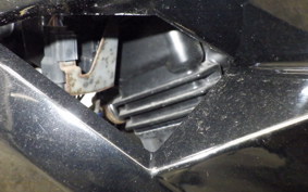 KAWASAKI NINJA 250 EX250L