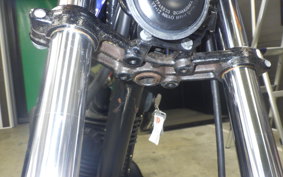 KAWASAKI 250TR 2021 BJ250F