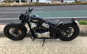 OTHER THUNDER 250