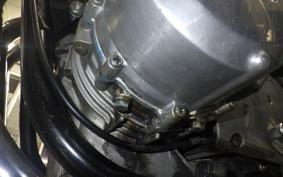 KAWASAKI Z900 2025 Z1F