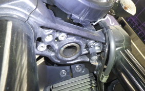 DUCATI SCRAMBLER ICON 2021