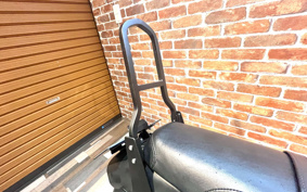 HARLEY HARLEY XL883N 2015 LE2