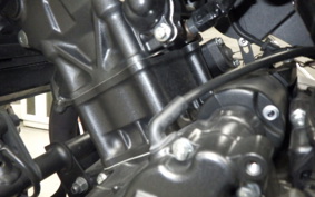 HONDA REBEL 250 A 2026 MC49