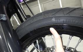 KAWASAKI KLX250D TRACKER X 2021 LX250V