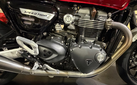 TRIUMPH SPEED TWIN 2023 DAD85H