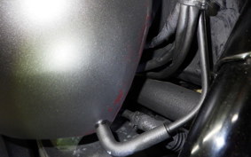 HARLEY XG750 STREET 2021