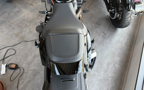 HARLEY FXDR114 2019 YVK