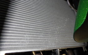 KAWASAKI NINJA1100SX SE 2025 ZXT10H