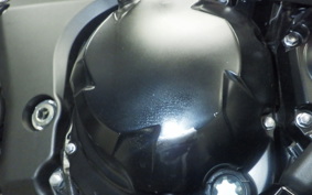 KAWASAKI NINJA 1000SX 2024 ZXT02K