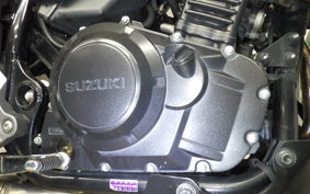 SUZUKI V-STROM 250