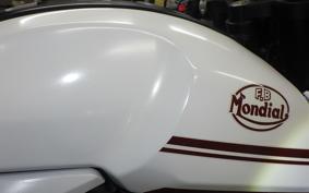 OTHER +FBﾓﾝﾃﾞｨｱﾙﾊﾟｶﾞｰﾆ300