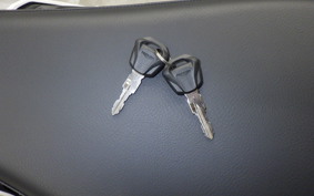 TRIUMPH SPEED TWIN 900 2025