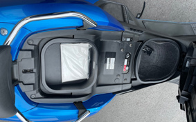 YAMAHA MAXAM 250 SG17J