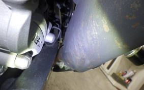 KAWASAKI Z250 Gen.2 2022 EX250P
