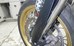 YAMAHA WR250X 2024 DG15J