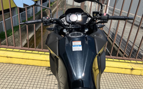 KAWASAKI VERSYS-X 250 ABS LE250D