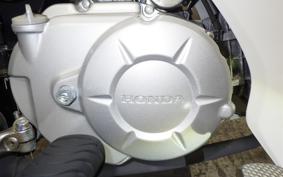 HONDA C110 SUPER CUB 2021 JA10