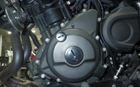 KAWASAKI ELIMINATOR400-3 2023 EL400A
