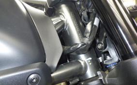 DUCATI SCRAMBLER ICON 2025