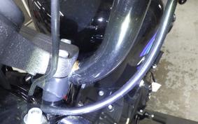 HARLEY XL1200NS 2019