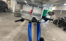 HARLEY  HARLEY XL1200CX 2018 LM3