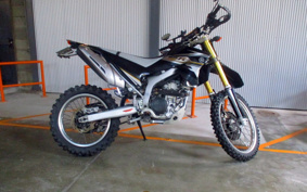 YAMAHA WR250R DG15J