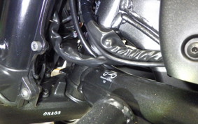 KAWASAKI VULCAN 650 SA 2019 EN650G