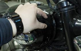 KAWASAKI W400 2006 EJ400A