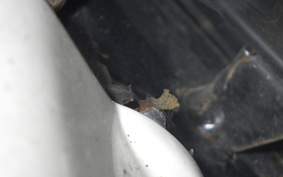 HONDA GYRO CANOPY 1993 TA03