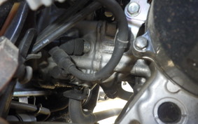 HONDA BENLY 50 AA05