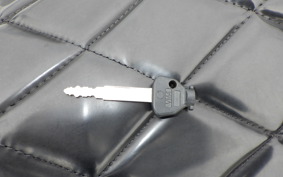 YAMAHA MAXAM 250 SG17J