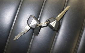 KAWASAKI W800 2020 EJ800B