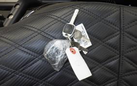 HARLEY FXLRST1920 2025