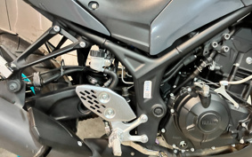 YAMAHA MT-25 RG74J