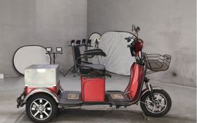 OTHER DENDOU TRIKE  ..