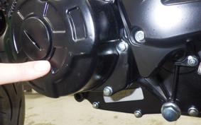 BENELLI レオンチーノ250