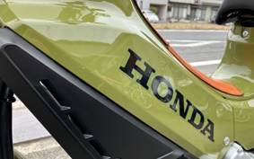 HONDA CROSS CUB JA45