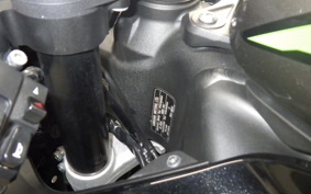 KAWASAKI NINJA ZX-6R A 2024 ZX636J