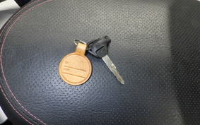 YAMAHA CYGNUS 125 XSR 3 2019 SED8J