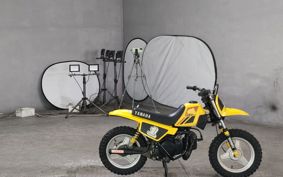 YAMAHA PW50 36E