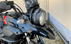 SUZUKI STROM 250 DS11A